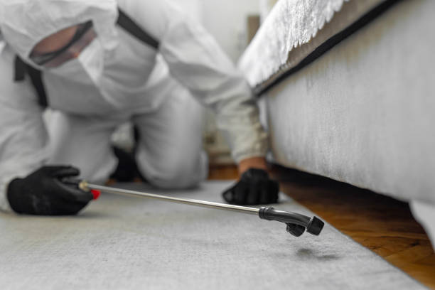 Professional Bed Bug Control technician working in Wenatchee, WA
