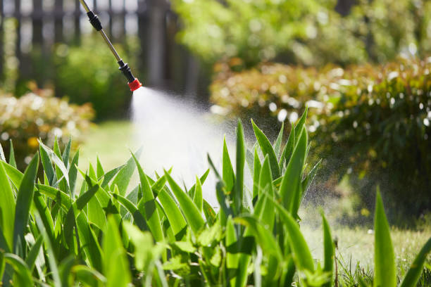 24/7 Emergency Bed Bug Control experts in Wenatchee, WA